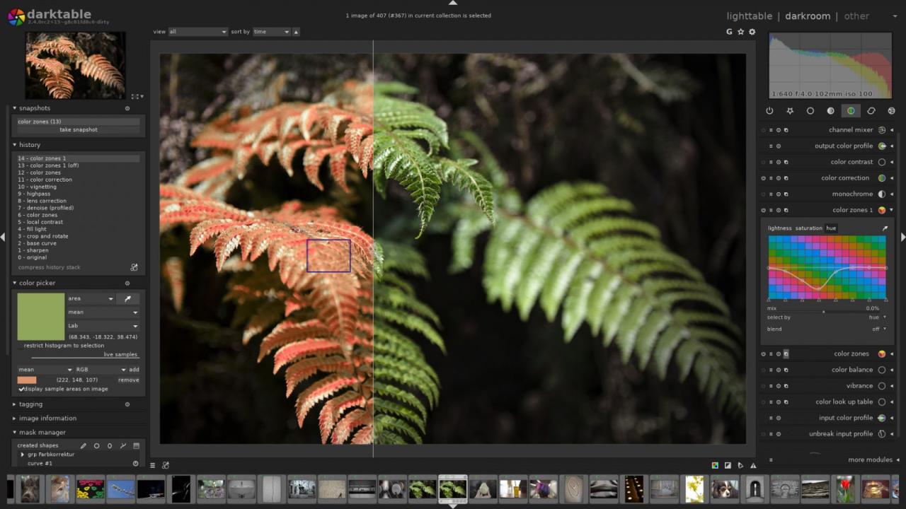 Best Image Editing Software For Windows 10: Elevate Your Visual Storytelling