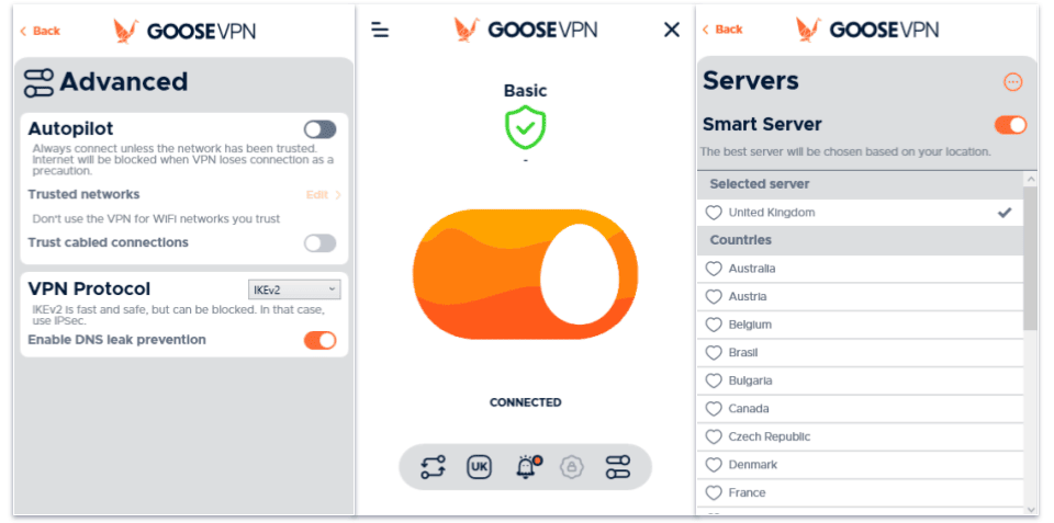 Review Goose VPN: A Comprehensive Guide To Online Security And Privacy