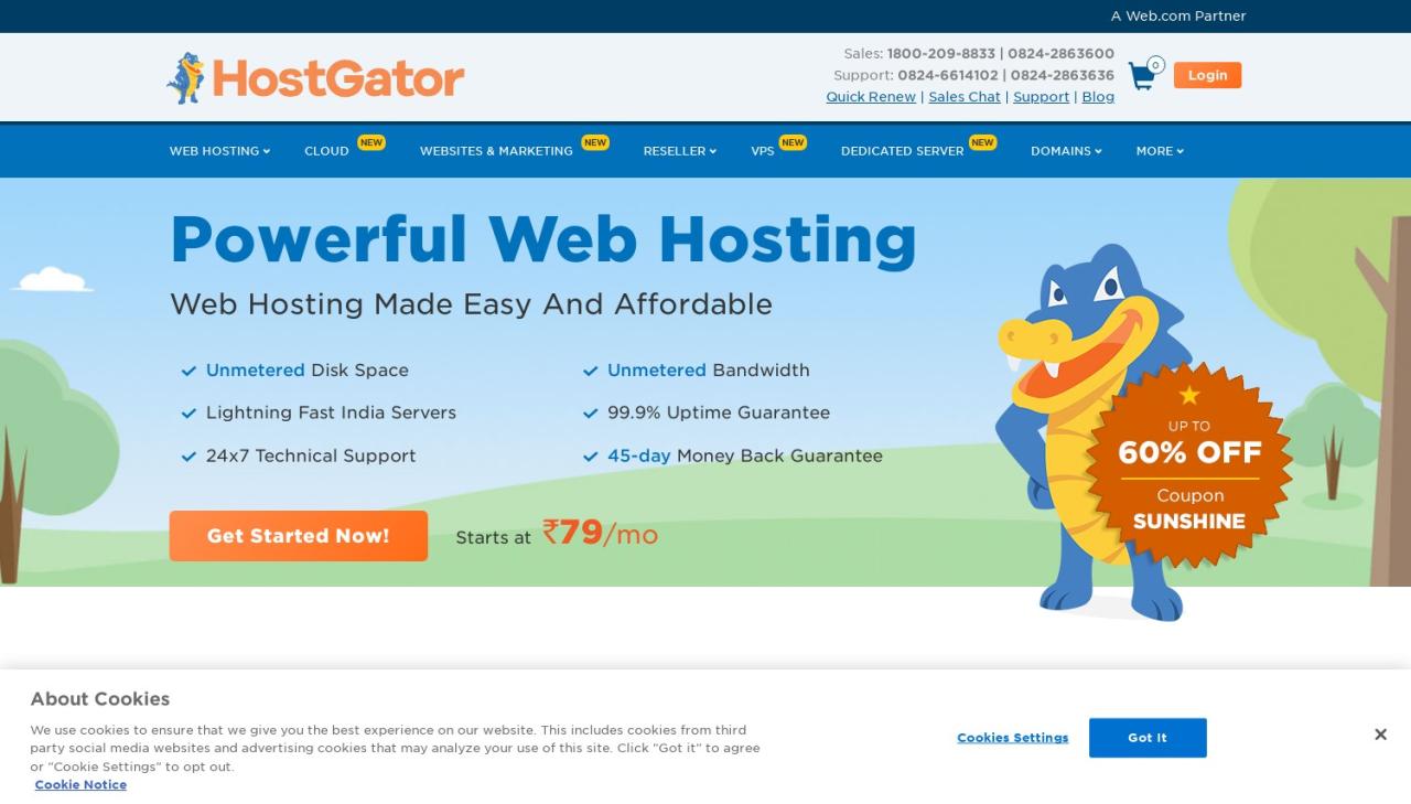 Review HostGator Bahrain: A Comprehensive Guide To Hosting Services In Bahrain