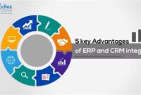 Maximize Efficiency, Boost Profits: Master ERP, RMM, and Cloud Integration