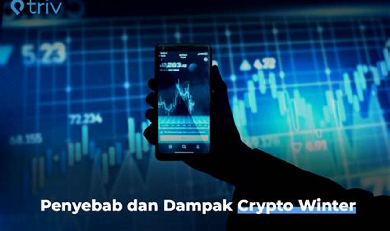 Krisis Crypto 2024: Mengungkap Penyebab dan Dampaknya