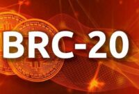 2024: The Year that Shakes the Crypto World - The End or a New Beginning?